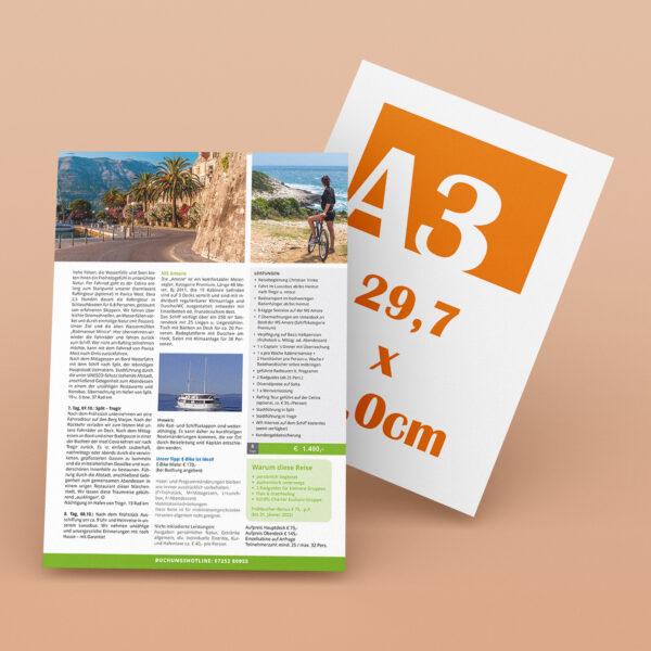 DIN A3 (29,7 x 42,0 cm)